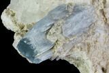 Aquamarine Crystal in Albite Matrix - Baltistan, Pakistan #111354-2